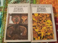 Antología de cuentos mexicanos
