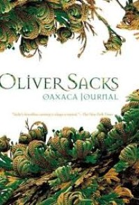Image of Oaxaca journal
