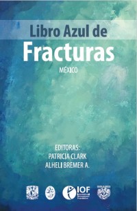 Image of Libro azul de fracturas : México